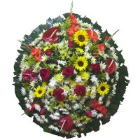 /album/galeria-de-fotos-coroa-de-flores/a350-000-jpg/
