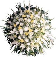 /album/galeria-de-fotos-coroa-de-flores/a350-00-jpg/