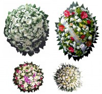 /album/galeria-de-fotos-coroa-de-flores/asd-jpg/