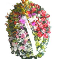 /album/galeria-de-fotos-coroa-de-flores/c11-jpg/