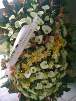 /album/galeria-de-fotos-coroa-de-flores/foto731-jpg/