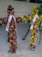 /album/galeria-de-fotos-coroa-de-flores/foto732-jpg/