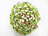 /album/galeria-de-fotos-coroa-de-flores/vga-imagem-241-jpg/